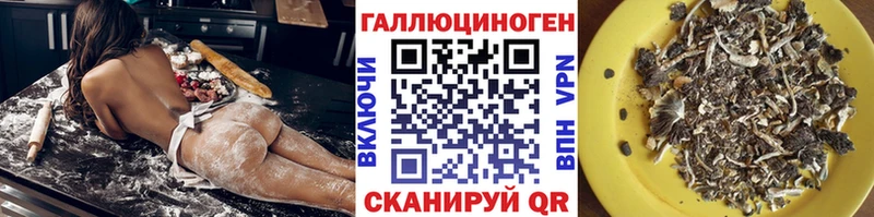 купить   МЕГА вход  Псилоцибиновые грибы MAGIC MUSHROOMS  Рыбное 