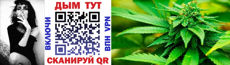 Бошки Шишки планчик  закладки  Рыбное 
